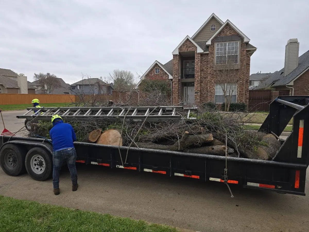 Expert Lot Clearing with proper safety equipment in Ramah